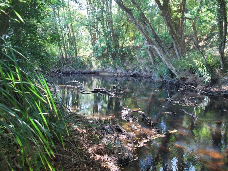 Lot 3 Rivendell Mews Off Orara Street, Nana Glen NSW 2450