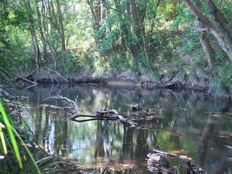 Lot 3 Rivendell Mews Off Orara Street, Nana Glen NSW 2450