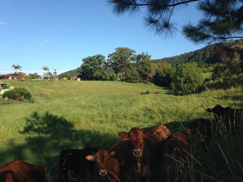 Lot 1 Shephards Lane, Coffs Harbour NSW 2450