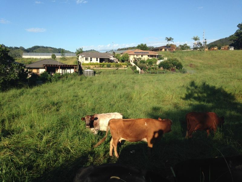 Lot 1 Shephards Lane, Coffs Harbour NSW 2450