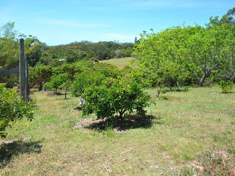 20A Skinner Close, Emerald Beach NSW 2456