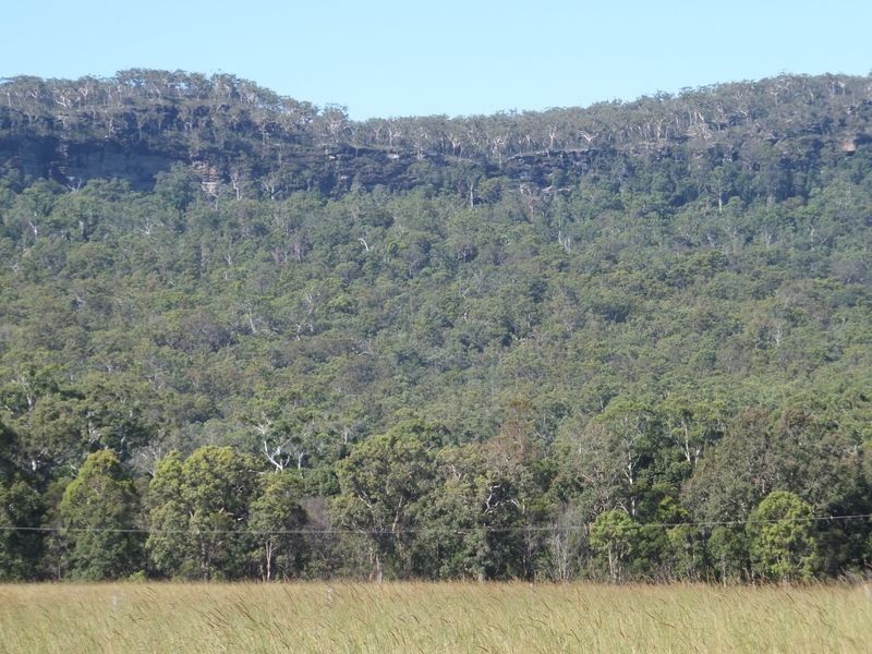 63 Lurcocks Creek Road, Glenreagh NSW 2450