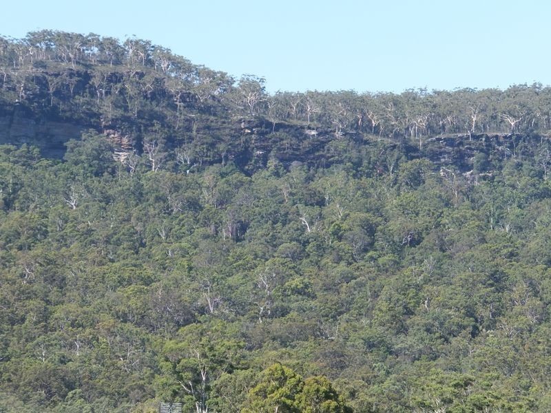 63 Lurcocks Creek Road, Glenreagh NSW 2450