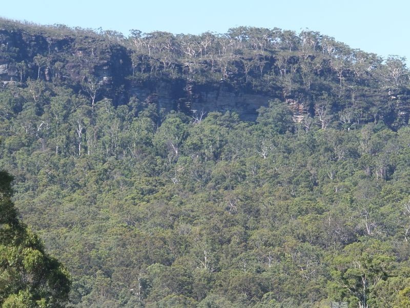 63 Lurcocks Creek Road, Glenreagh NSW 2450