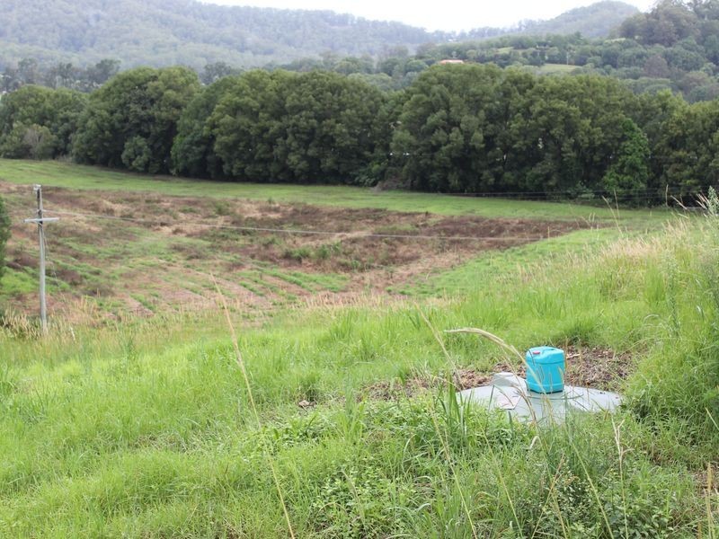 347 North Bank Road, Bellingen NSW 2454