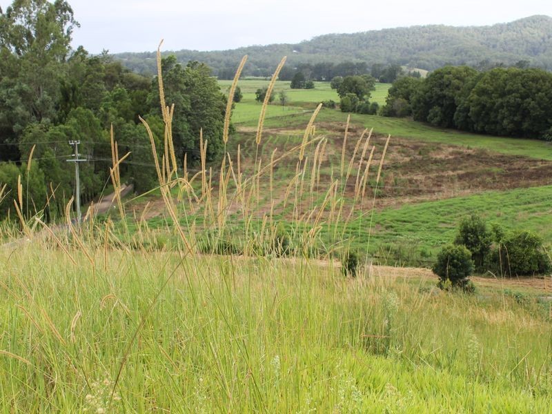 347 North Bank Road, Bellingen NSW 2454