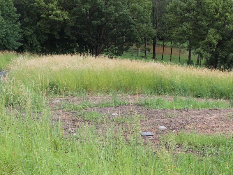 347 North Bank Road, Bellingen NSW 2454