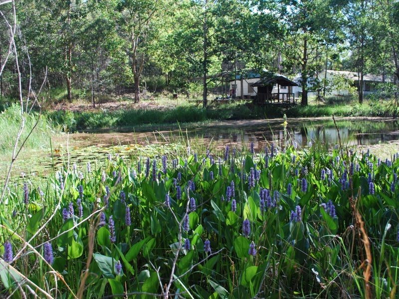 18 Boundary Road, Alumy Creek NSW 2460