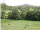 92 Hains Lane Brierfield, Bellingen NSW 2454