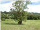 92 Hains Lane Brierfield, Bellingen NSW 2454