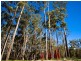 Lot 1 Pearl Estate, Valla NSW 2448