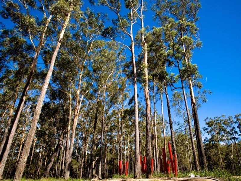 Lot 10 Pearl Estate, Valla NSW 2448