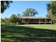 713 Mulquinneys Road, Braunstone NSW 2460