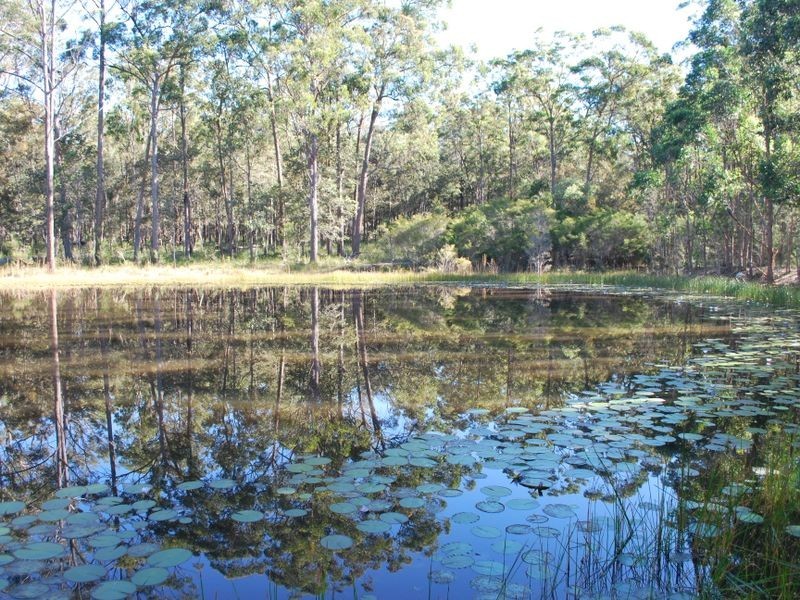 713 Mulquinneys Road, Braunstone NSW 2460