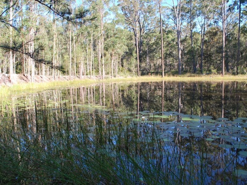 713 Mulquinneys Road, Braunstone NSW 2460