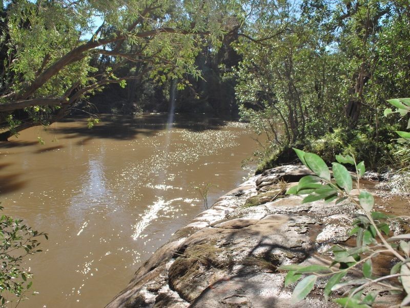 713 Mulquinneys Road, Braunstone NSW 2460