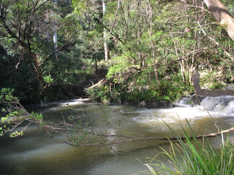 917 Moleton Road, Lowanna NSW 2450