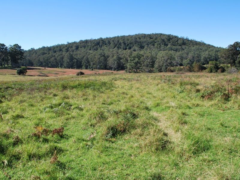 917 Moleton Road, Lowanna NSW 2450