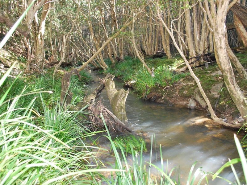 917 Moleton Road, Lowanna NSW 2450