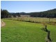 917 Moleton Road, Lowanna NSW 2450