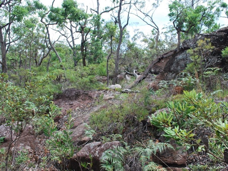 325 McGills Road, Alumy Creek NSW 2460