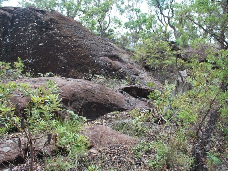 325 McGills Road, Alumy Creek NSW 2460