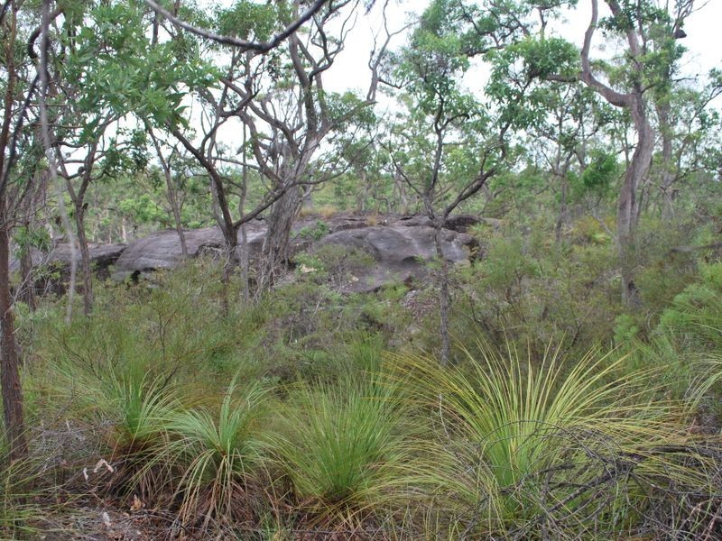 325 McGills Road, Alumy Creek NSW 2460