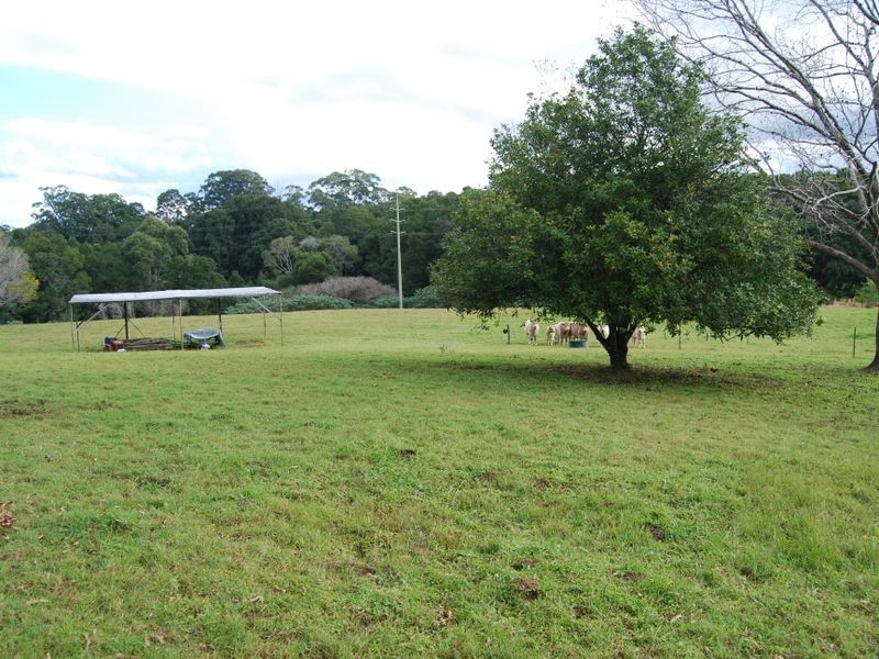 330 Pine Creek Way, Bonville NSW 2441