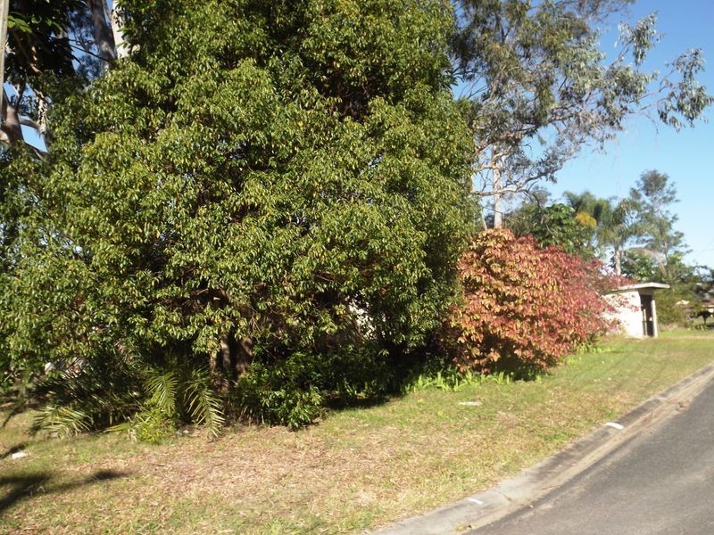 31 Dalgety Street, Woolgoolga NSW 2456