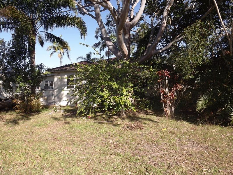 31 Dalgety Street, Woolgoolga NSW 2456