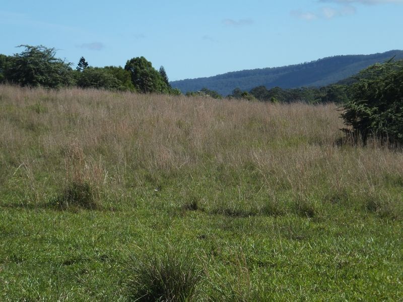 Lot 174/20 East Bank Road, Nana Glen NSW 2450