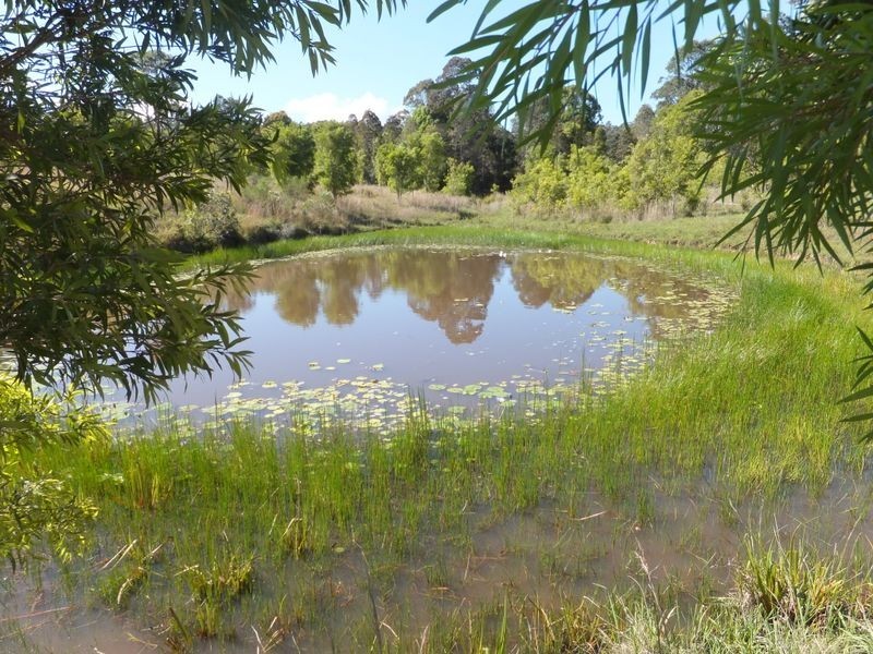 Lot 174/20 East Bank Road, Nana Glen NSW 2450
