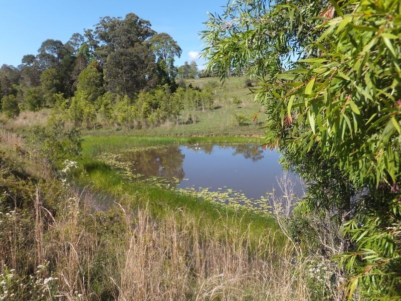 Lot 174/20 East Bank Road, Nana Glen NSW 2450
