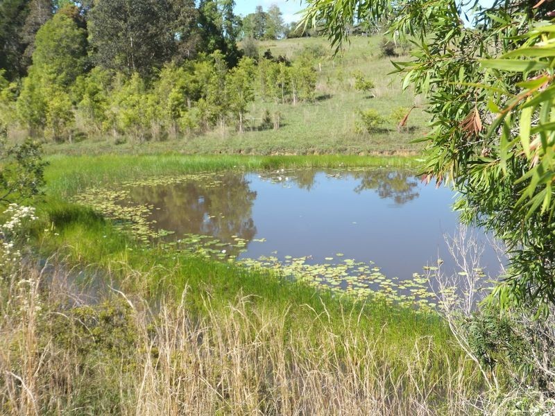 Lot 174/20 East Bank Road, Nana Glen NSW 2450