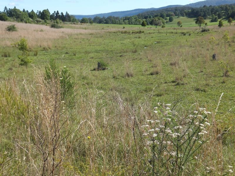 Lot 174/20 East Bank Road, Nana Glen NSW 2450