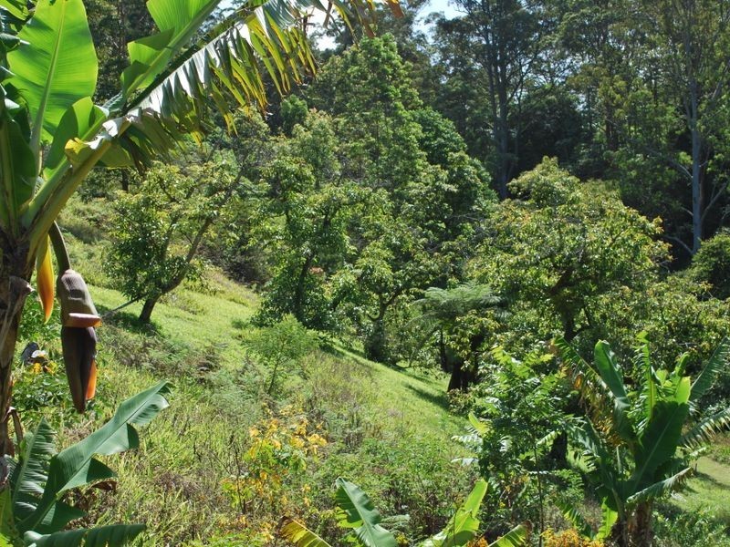 114 Bennetts Road, Coffs Harbour NSW 2450