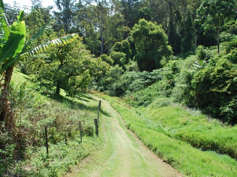 114 Bennetts Road, Coffs Harbour NSW 2450