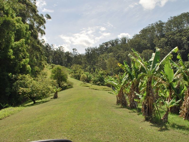 114 Bennetts Road, Coffs Harbour NSW 2450