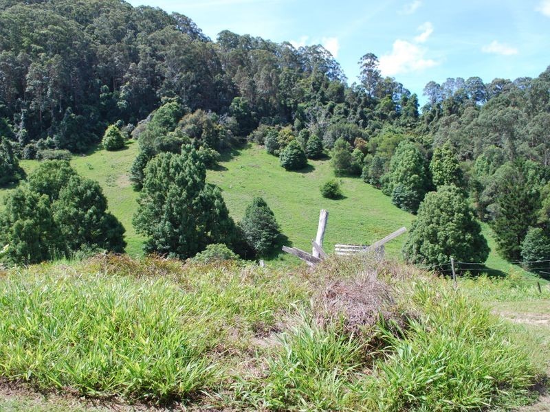 114 Bennetts Road, Coffs Harbour NSW 2450