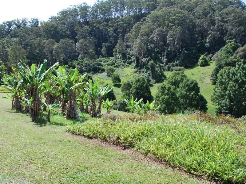 114 Bennetts Road, Coffs Harbour NSW 2450