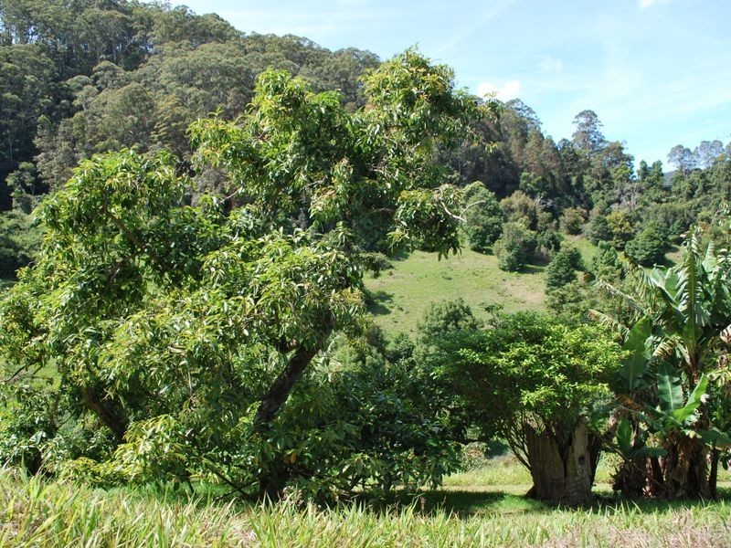 114 Bennetts Road, Coffs Harbour NSW 2450