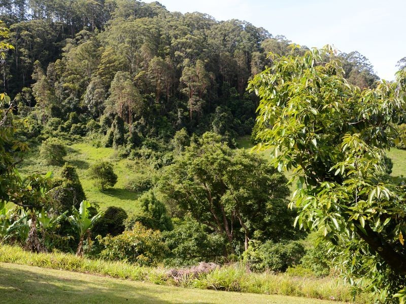 114 Bennetts Road, Coffs Harbour NSW 2450