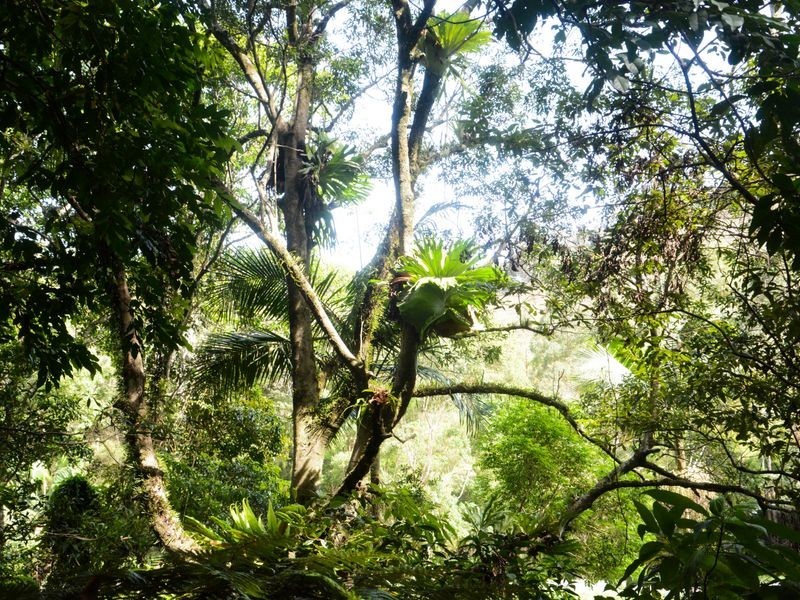 114 Bennetts Road, Coffs Harbour NSW 2450