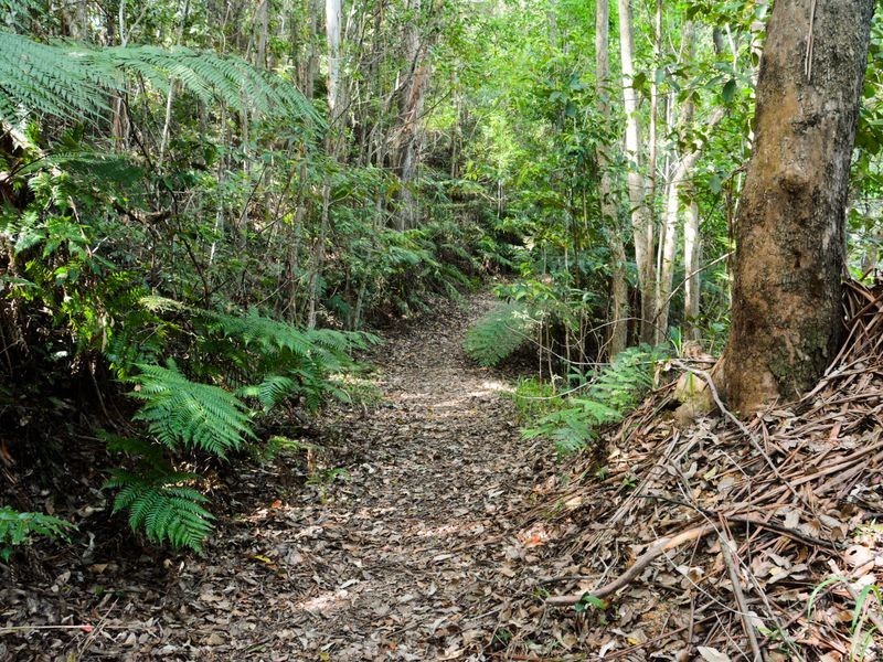 114 Bennetts Road, Coffs Harbour NSW 2450