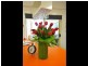 92 Taloumbi Road, Coffs Harbour NSW 2450