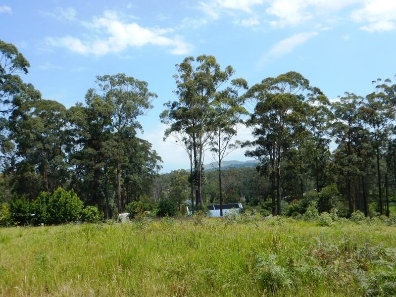 Lot 26 Palm Grove Place, Moonee Beach NSW 2450