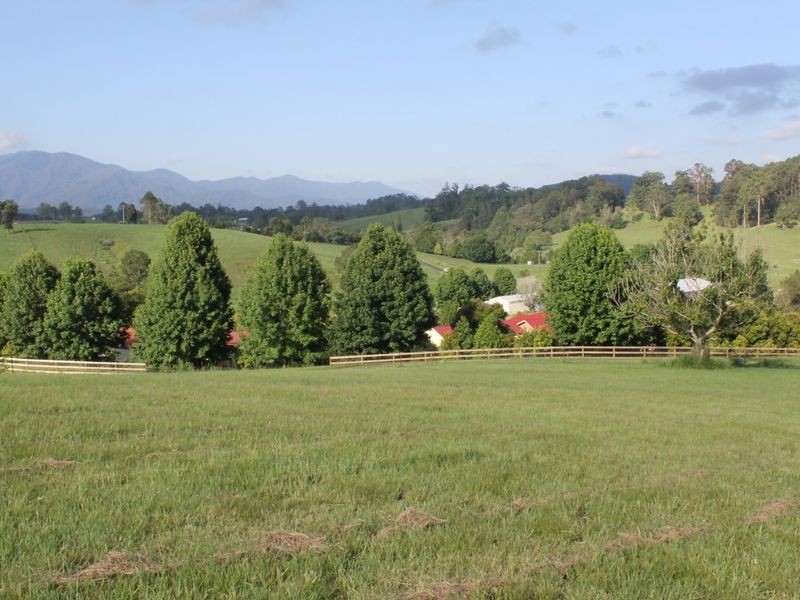 9 Crawford Close, Bellingen NSW 2454