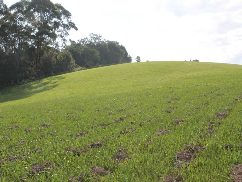 9 Crawford Close, Bellingen NSW 2454