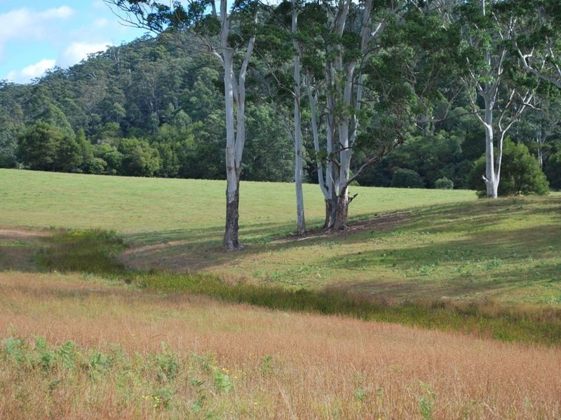 Lot 12 Mole Creek Road, Lowanna NSW 2450