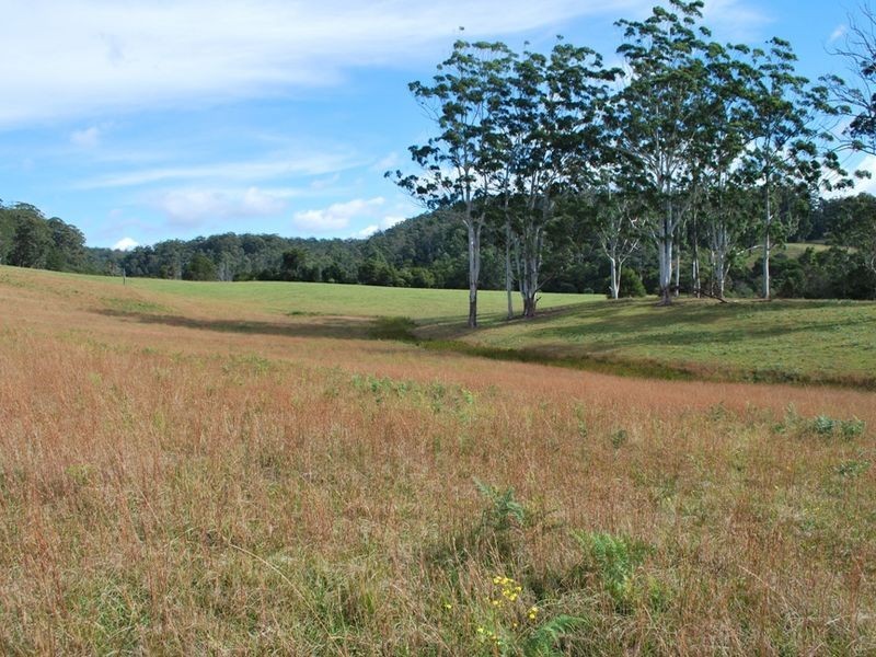 Lot 12 Mole Creek Road, Lowanna NSW 2450